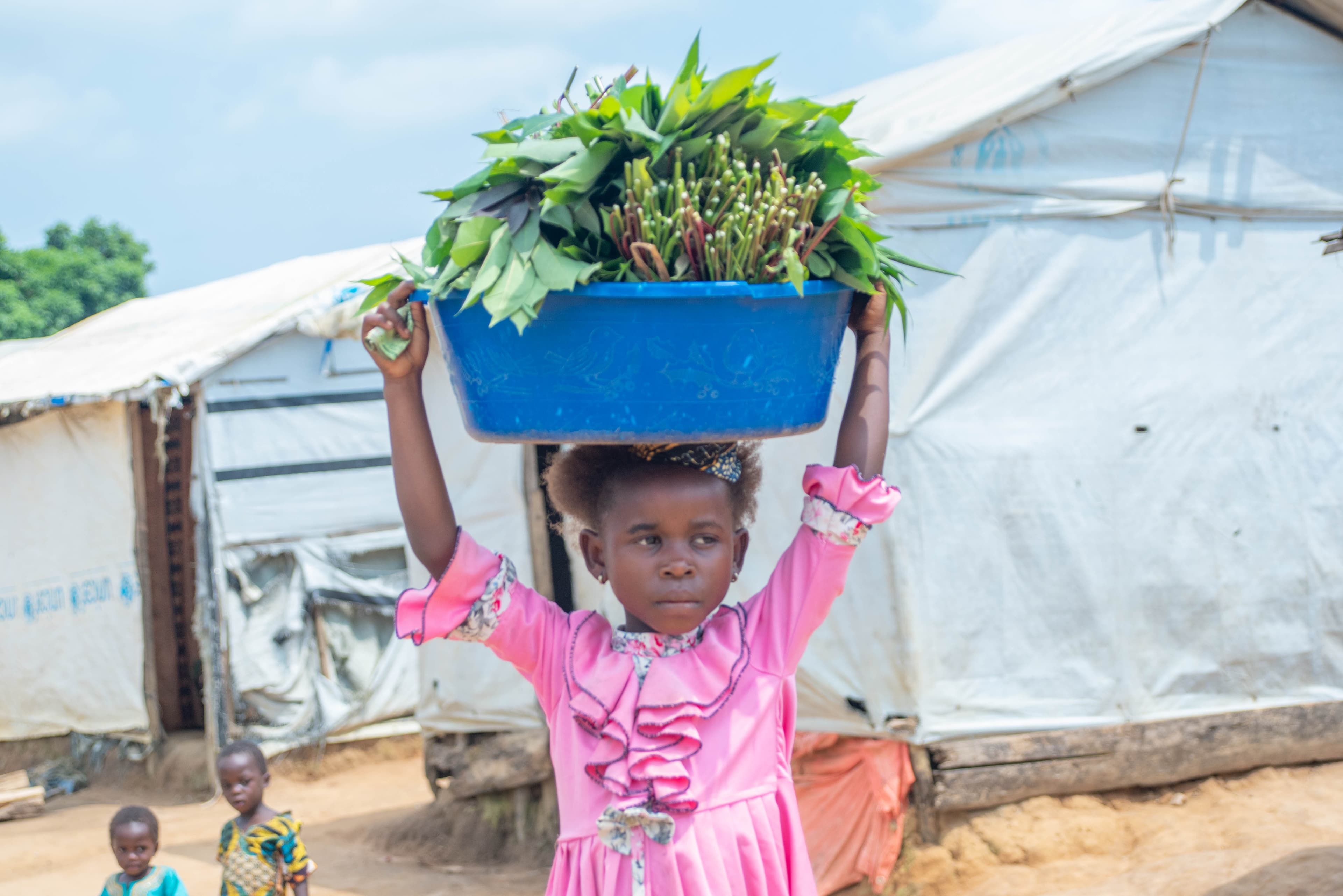 Activites Enfants Site Communautaire — photo 39